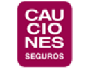 Cauciones Seguros